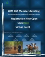 DSF Members mtg image