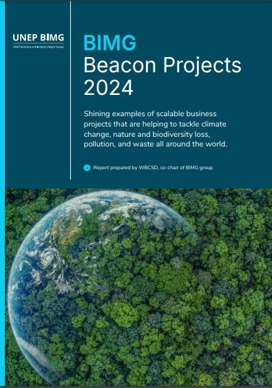 BIMG BEacon projects report