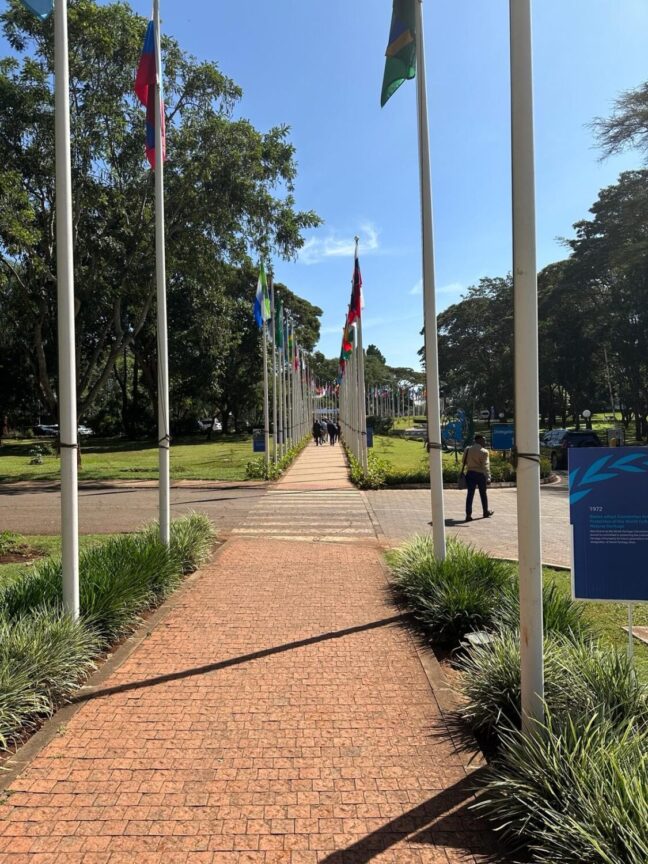 UNEA 3 flags