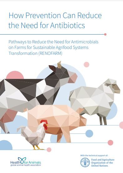 How prevention can reduce the need for antibiotics