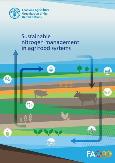 FAO nitrogen report Jan 2025